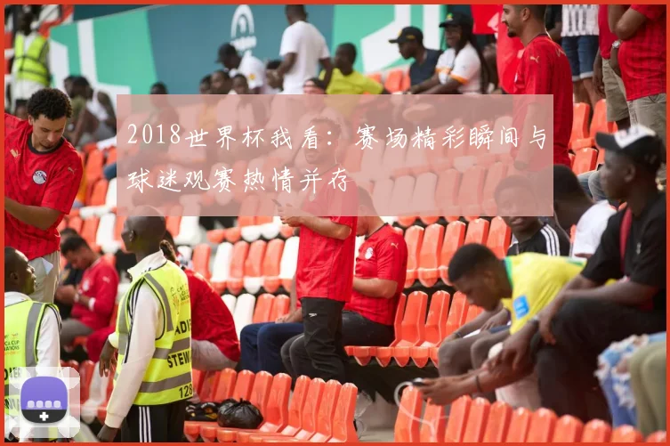 2018世界杯我看：赛场精彩瞬间与球迷观赛热情并存