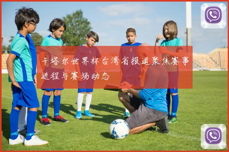 卡塔尔世界杯台湾省报道聚焦赛事进程与赛场动态