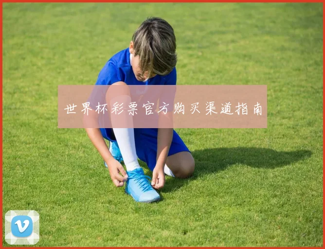 世界杯彩票官方购买渠道指南