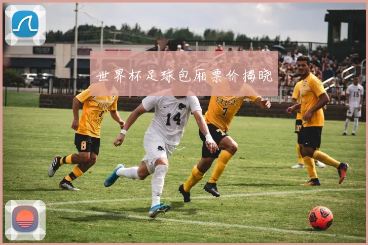 世界杯足球包厢票价揭晓
