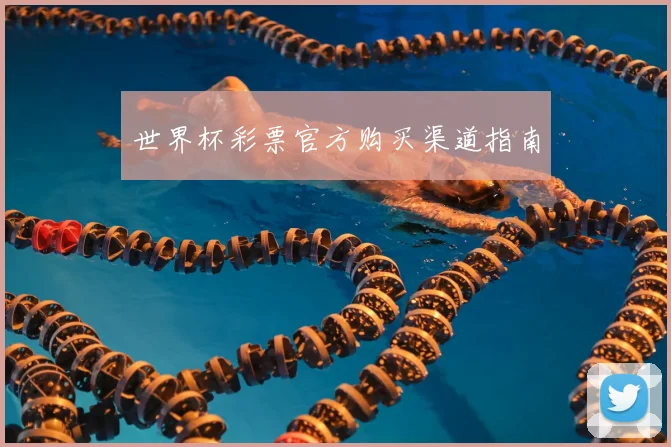 世界杯彩票官方购买渠道指南