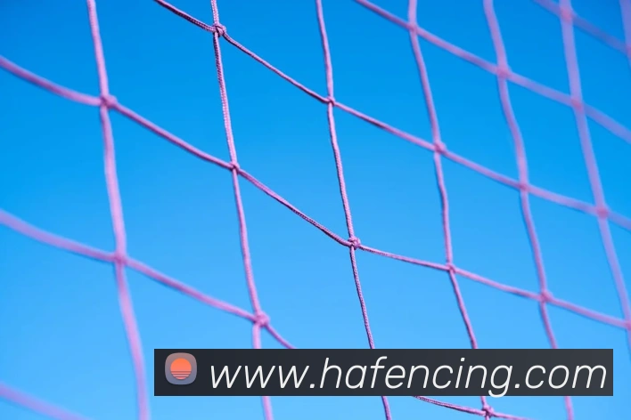 世界杯体育app官网APP 封面图